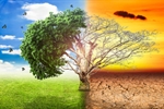 Turkey's Green Reconciliation Action Plan is ready