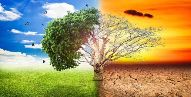Turkey's Green Reconciliation Action Plan is ready